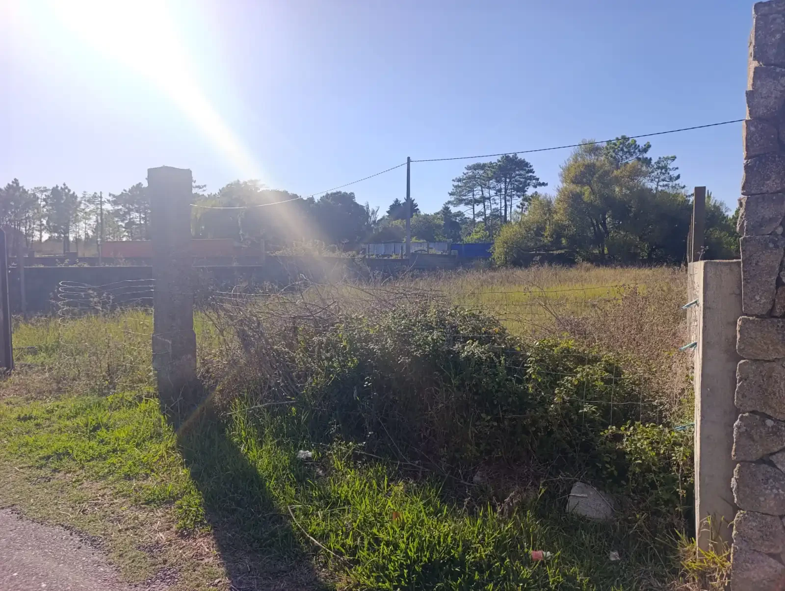 FINCA RÚSTICA EN AGUIÑO — 2