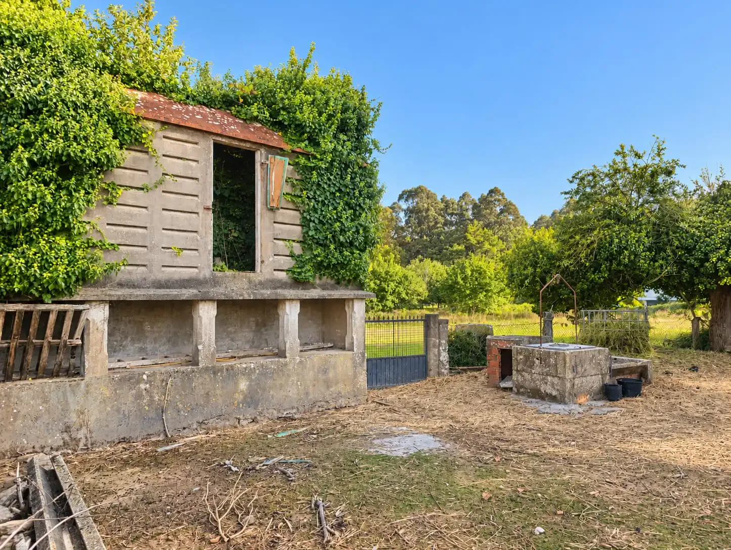 CASA DE PIEDRA PARA RESTAURAR CON TERRENO DE 3.400 M2 — 10