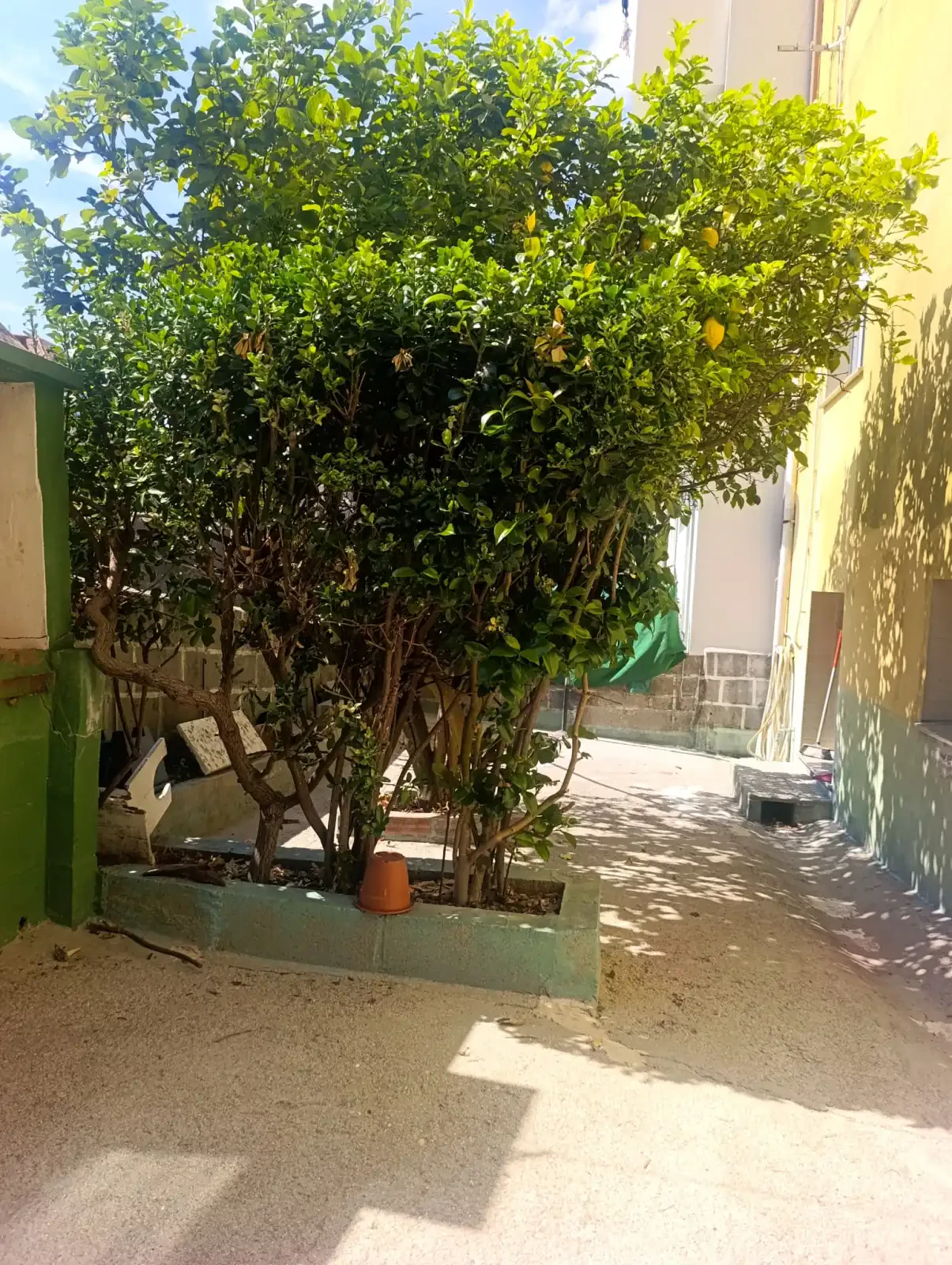 CASA EN RIBEIRA  — 13