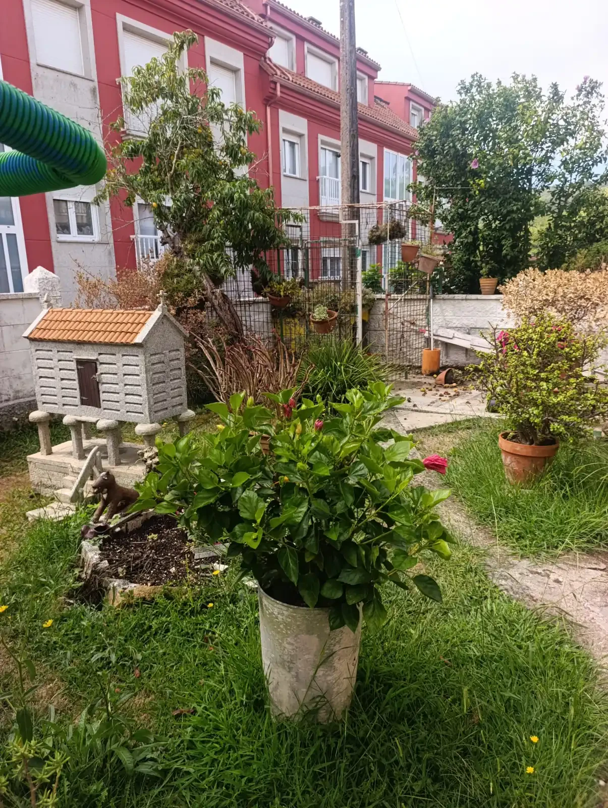 CASA CON JARDIN EN RIBEIRA  — 9